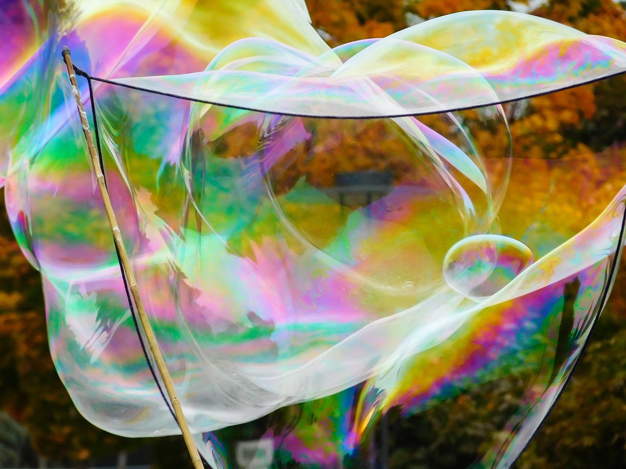 soap bubble bubble fly free photo