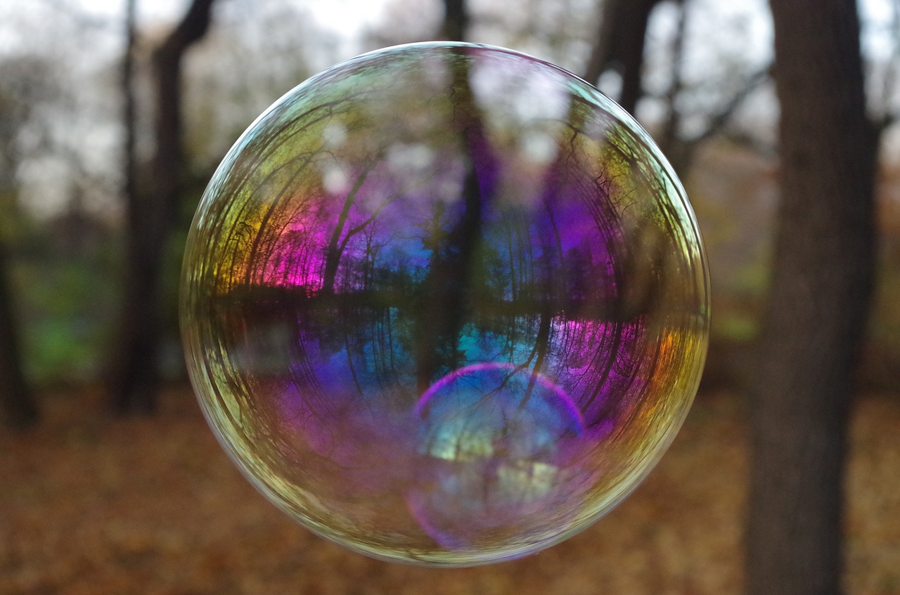 soap bubble bubble reflection free photo