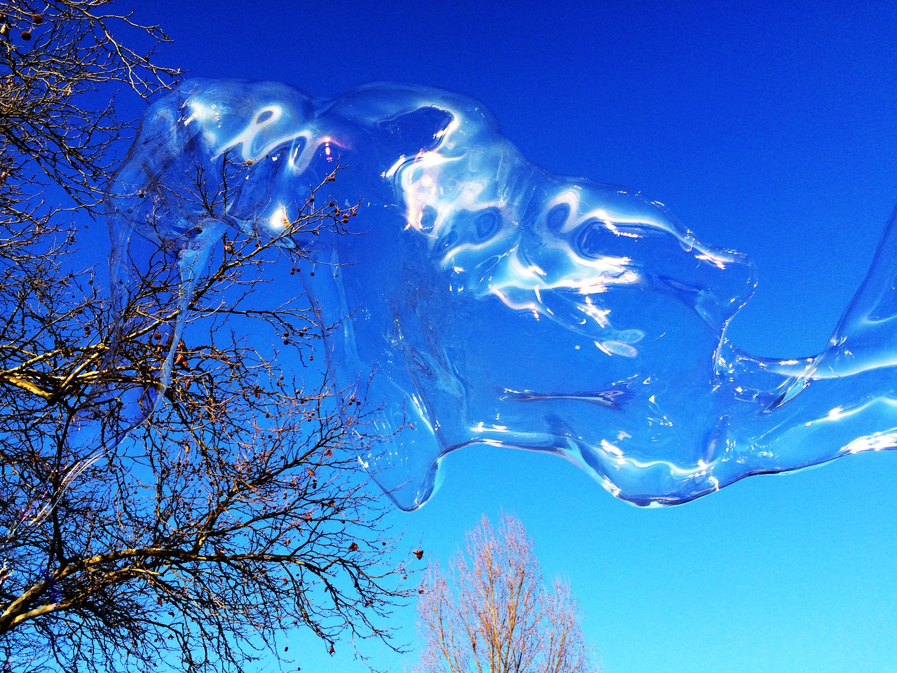 soap bubble huge colorful free photo