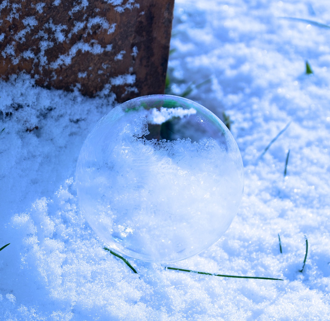 soap bubble bubble ball free photo