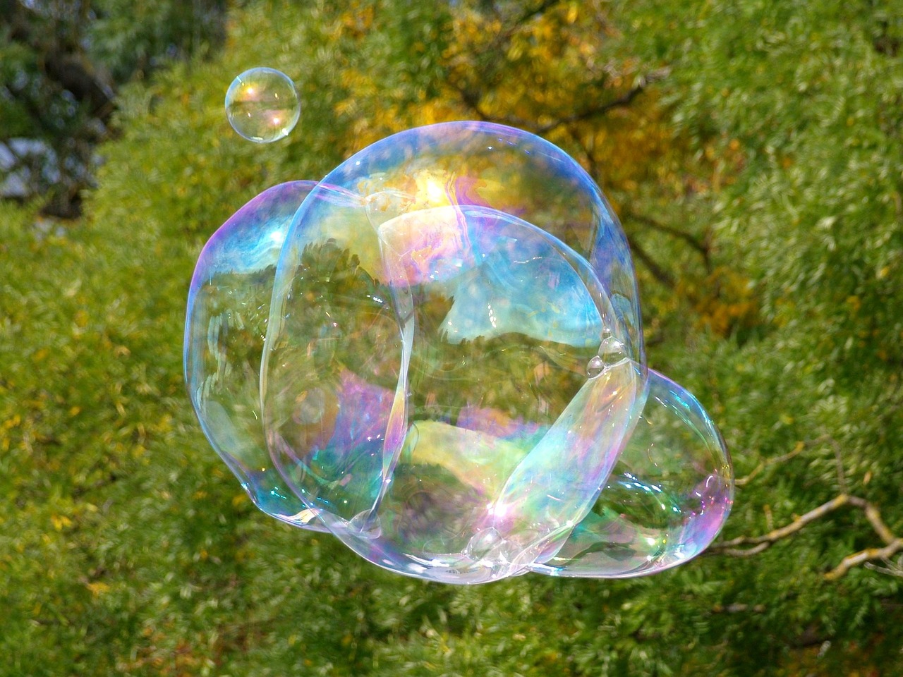 soap bubble blubber large free photo