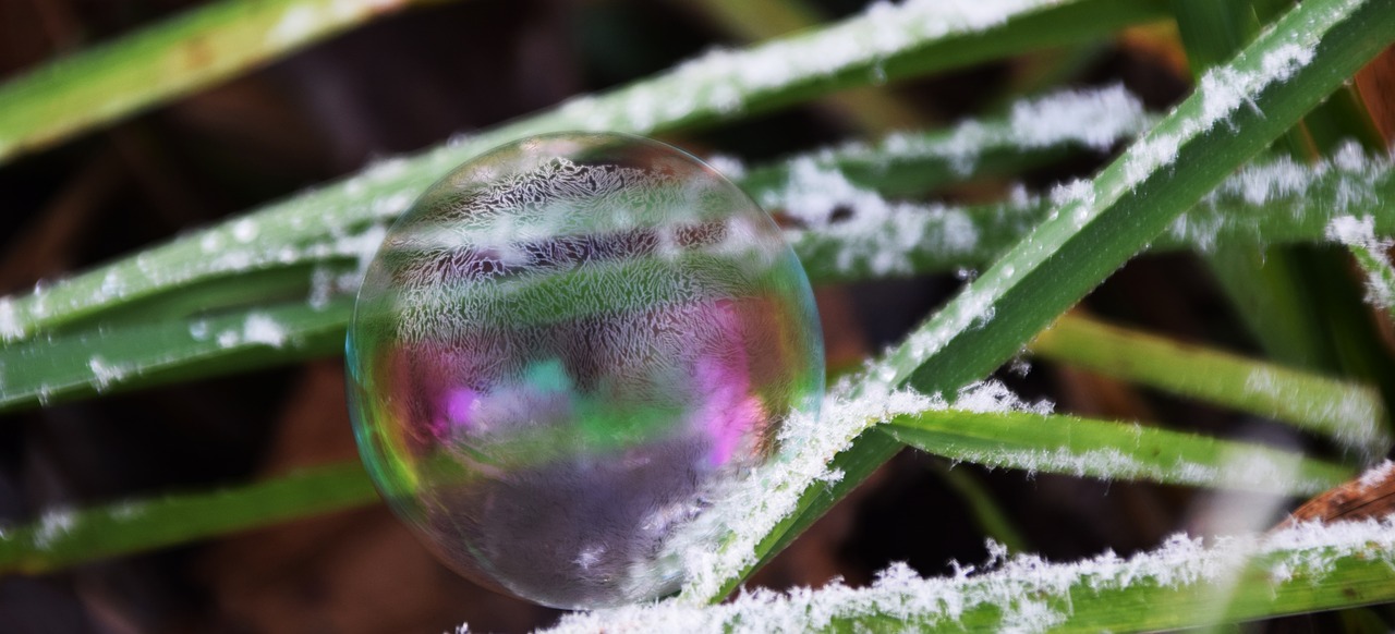 soap bubble frosted winter free photo