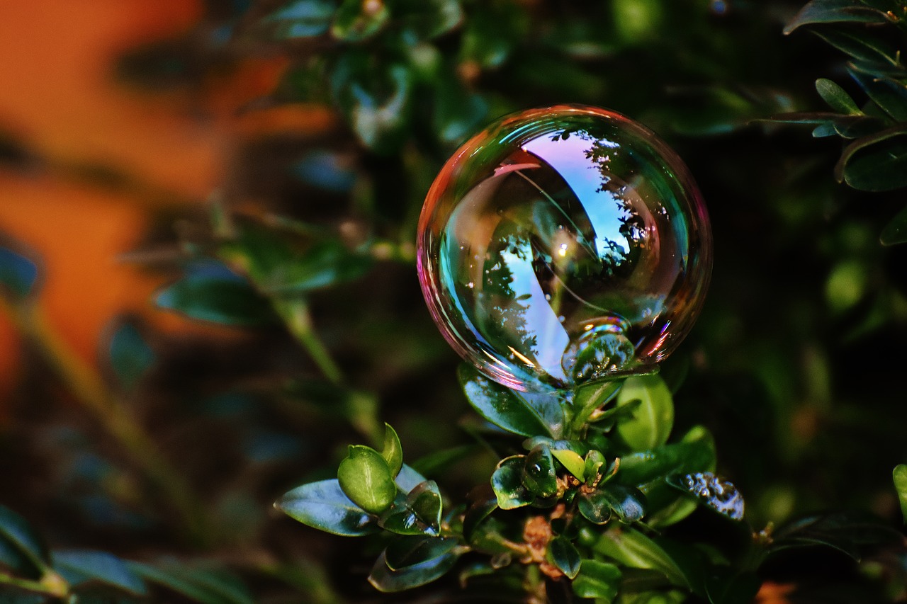 soap bubble colorful buxbaum free photo