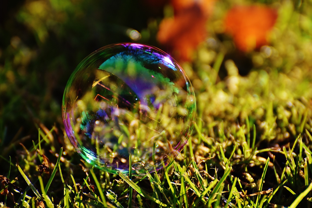 soap bubble colorful meadow free photo