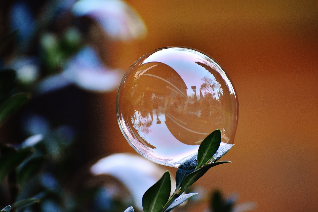 soap bubble colorful buxbaum free photo