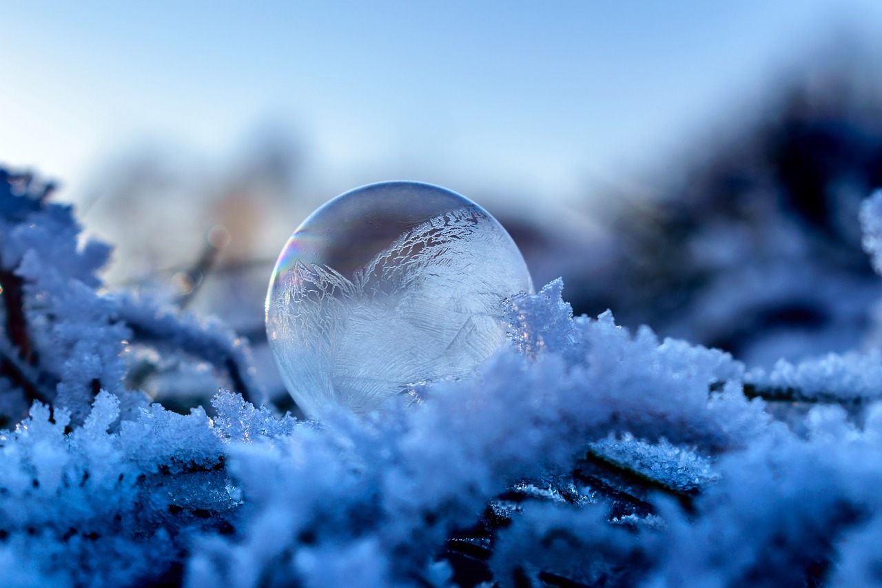 soap bubble frozen frozen bubble free photo