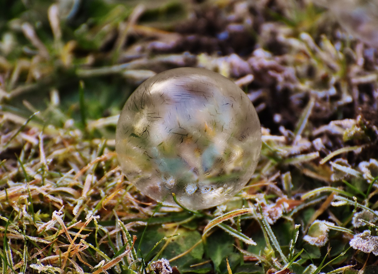 soap bubble frozen winter free photo