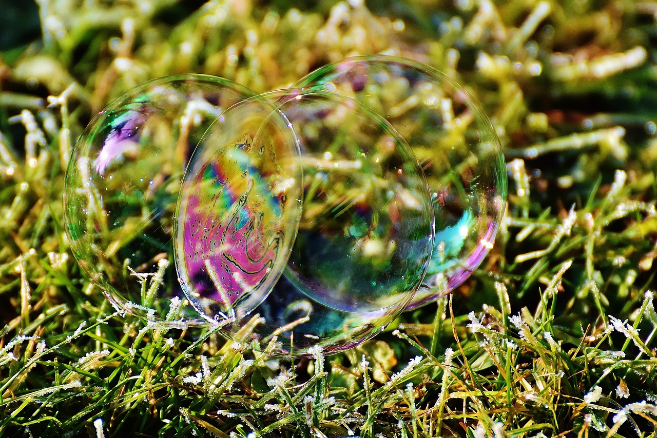 soap bubble colorful meadow free photo