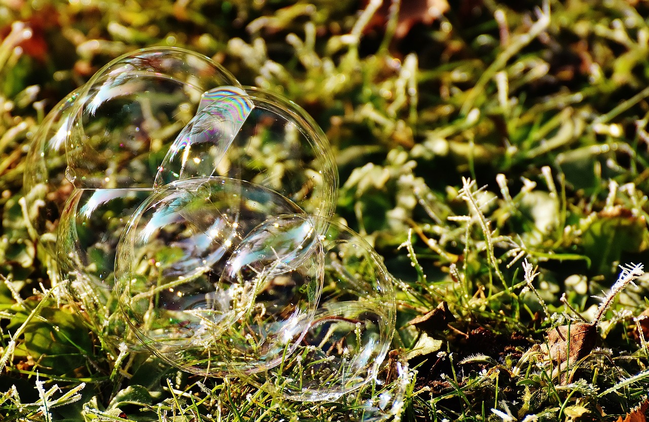 soap bubble colorful meadow free photo