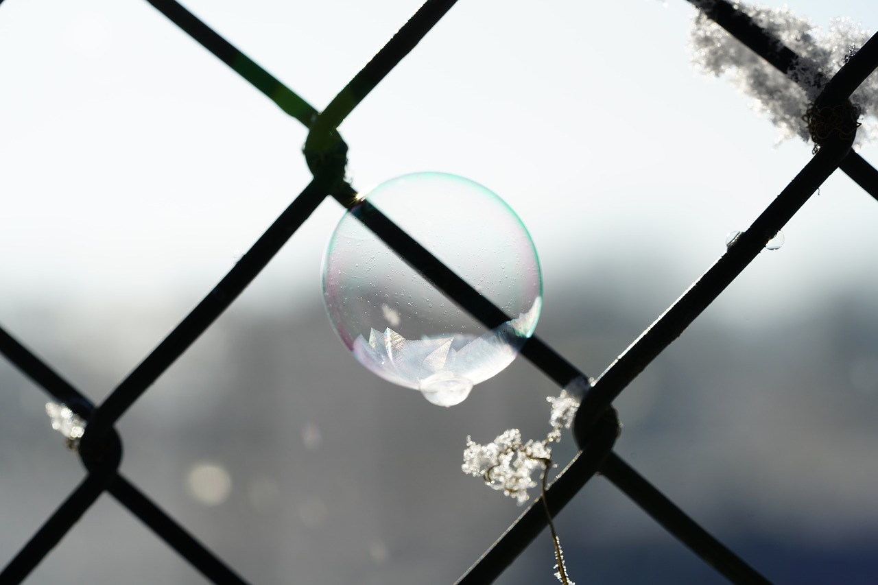 soap bubble frozen fence free photo