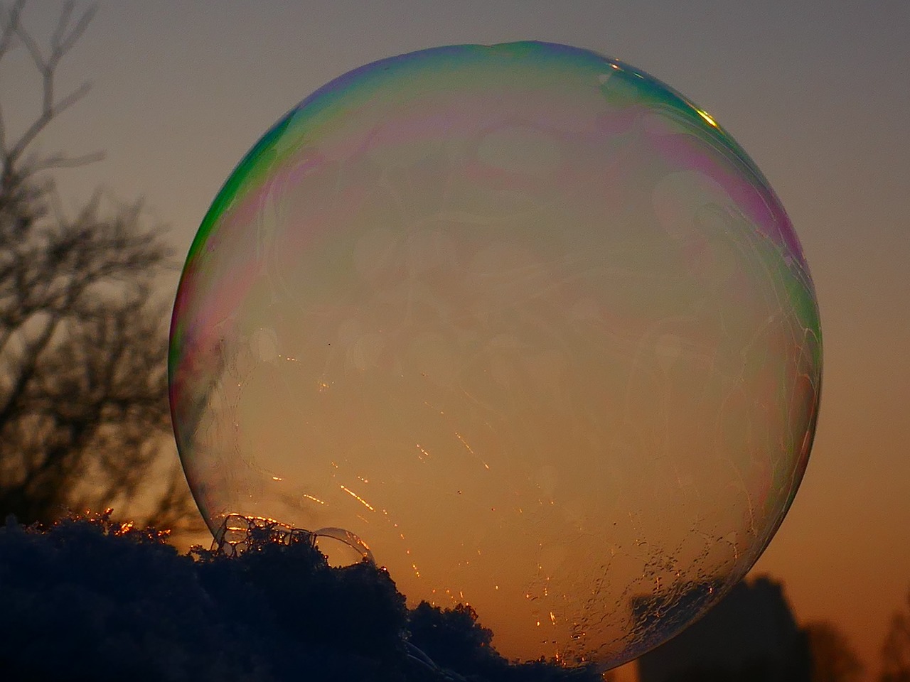 soap bubble shimmer frozen free photo