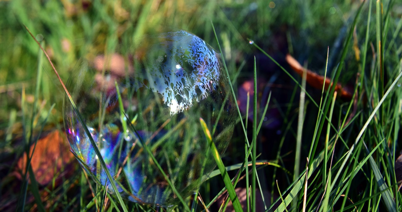soap bubble meadow grass free photo