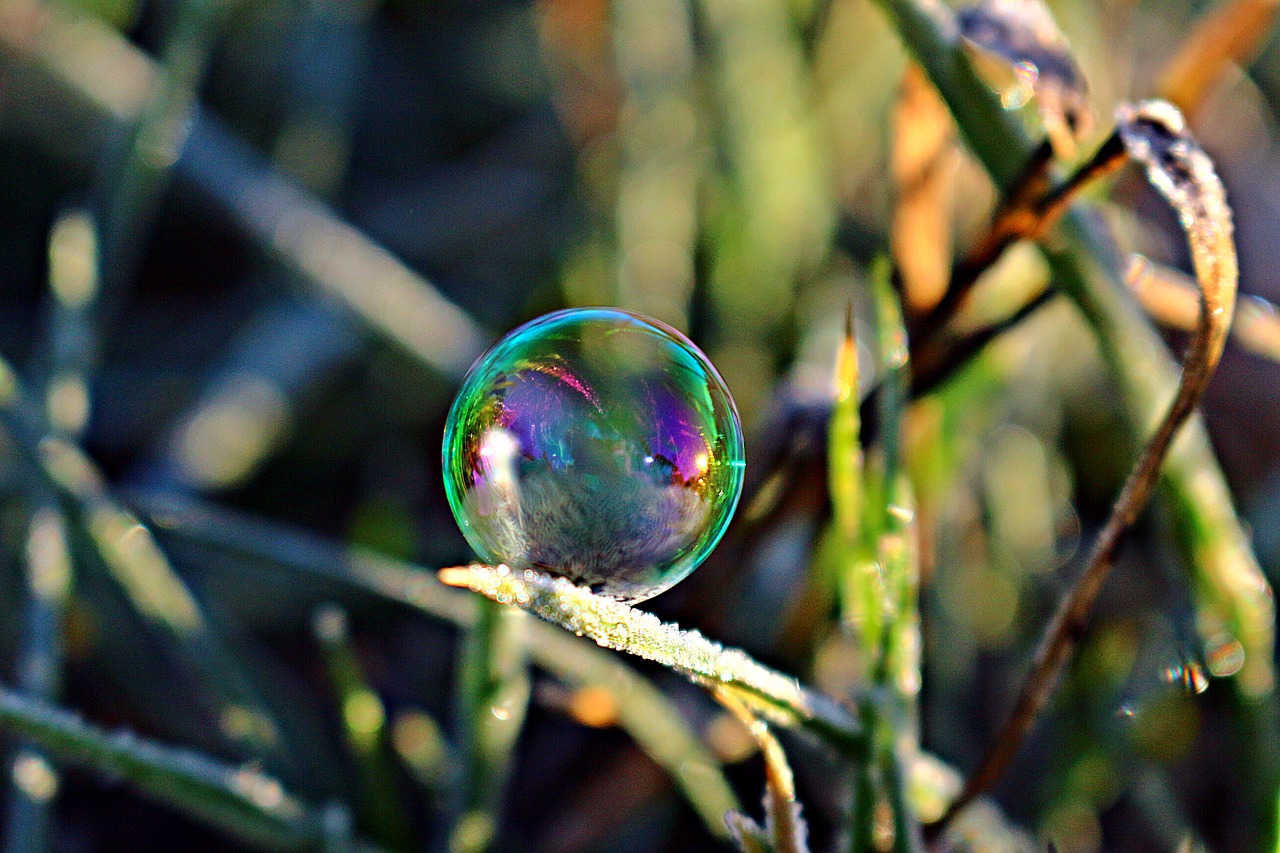 soap bubble  frost bubble  ice bubble free photo