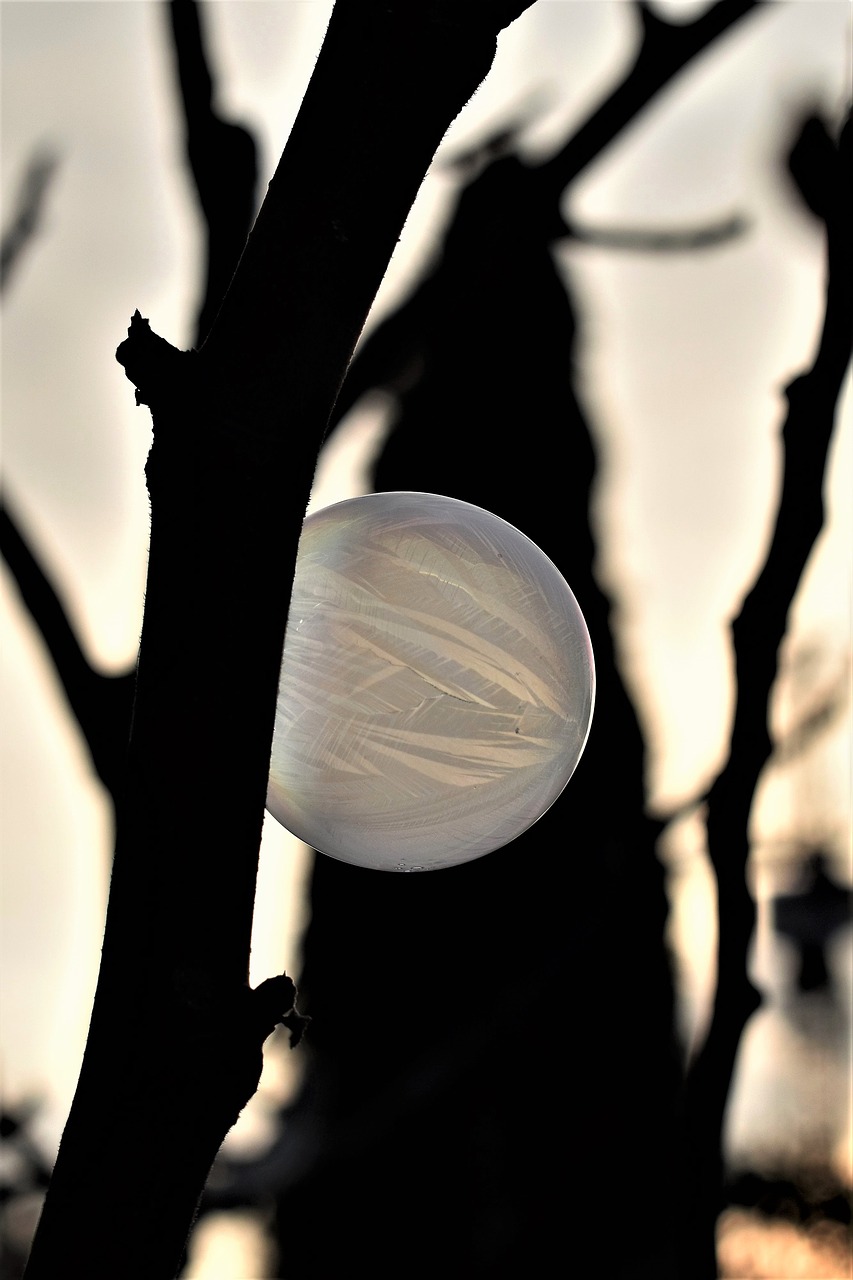 soap bubble  frozen  hardest free photo