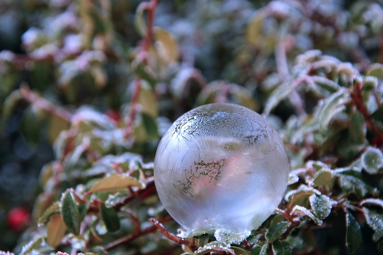 soap bubble  frozen  ice free photo