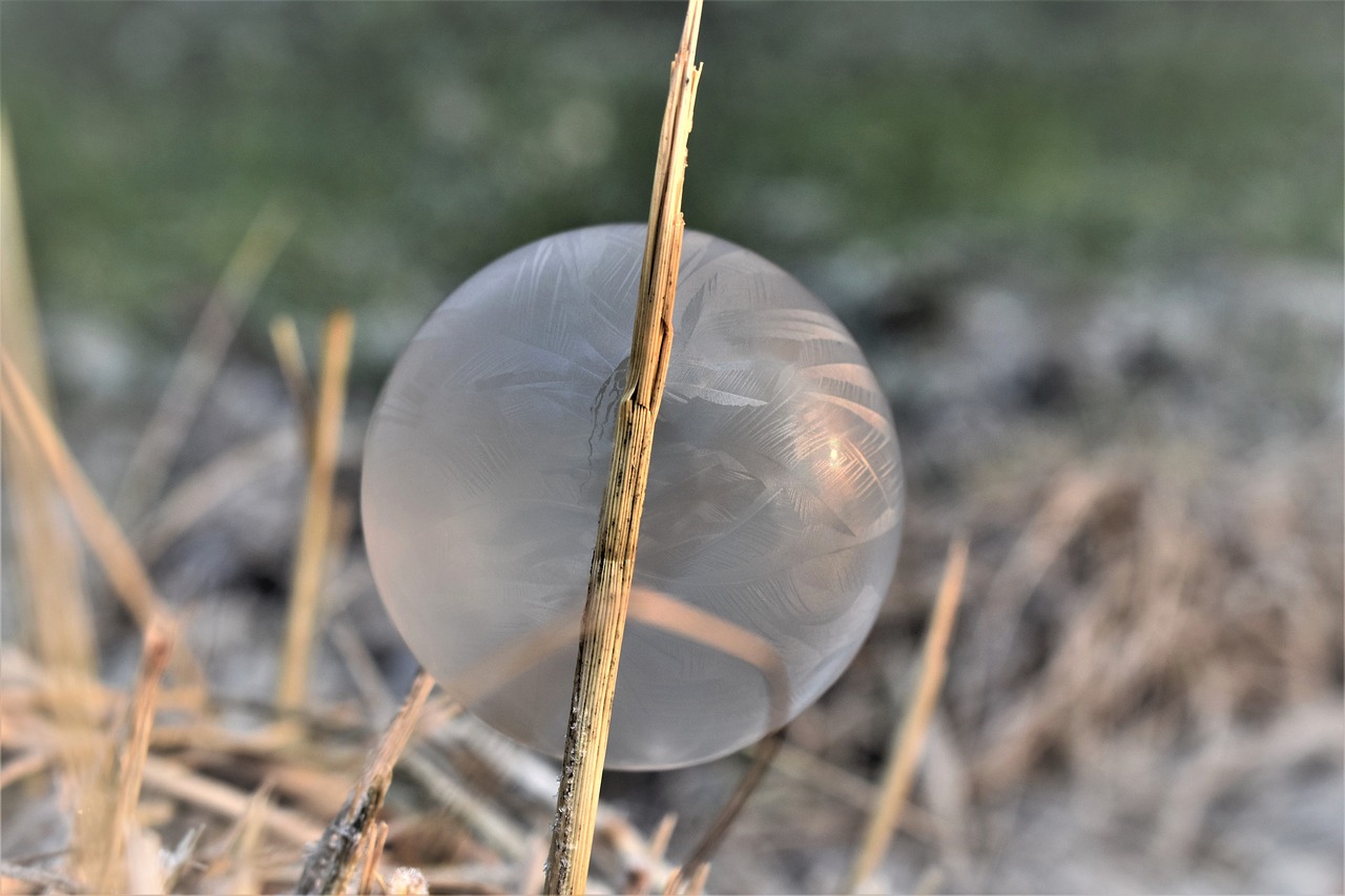 soap bubble  frozen  eiskristalle free photo