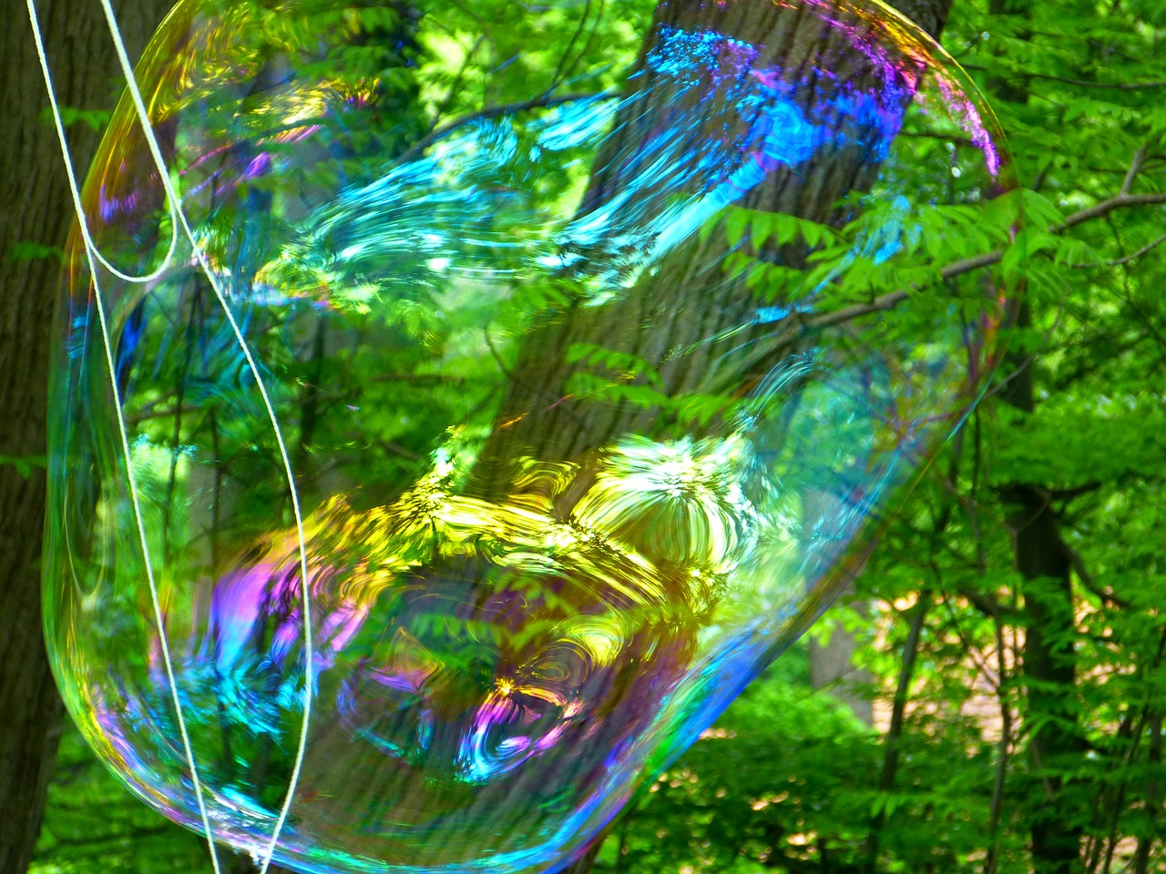 soap bubble fly weightless free photo