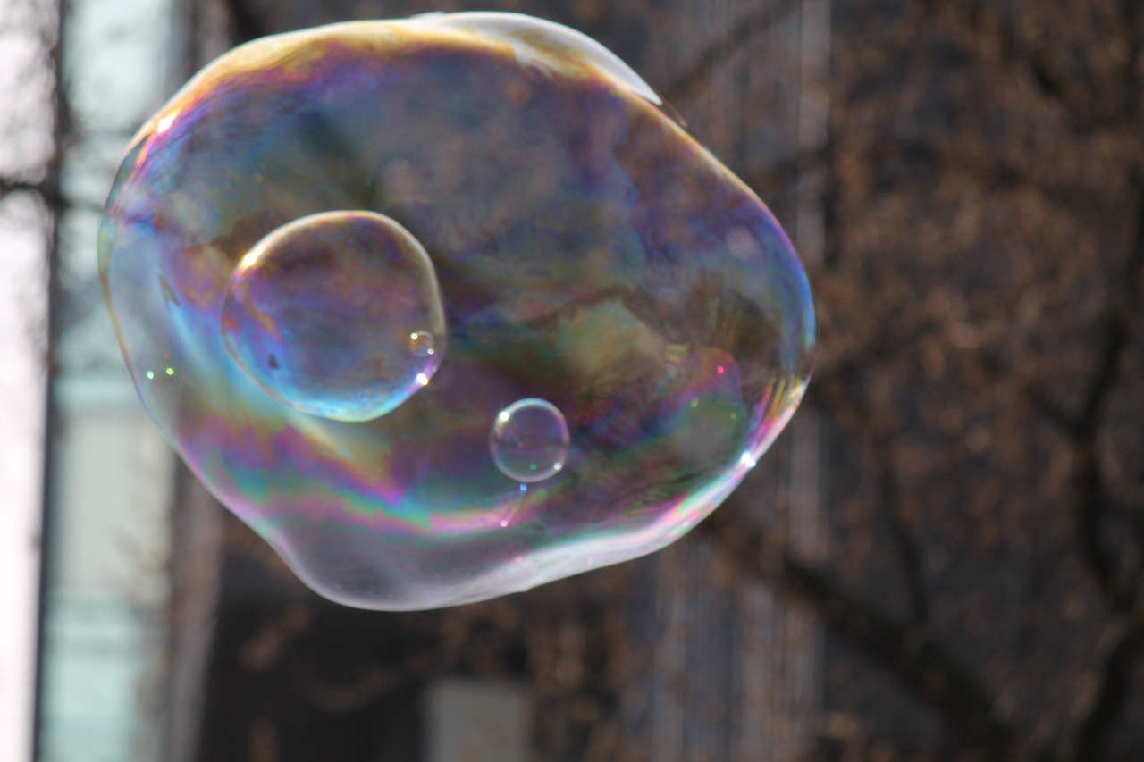 soap bubble light iridescent free photo