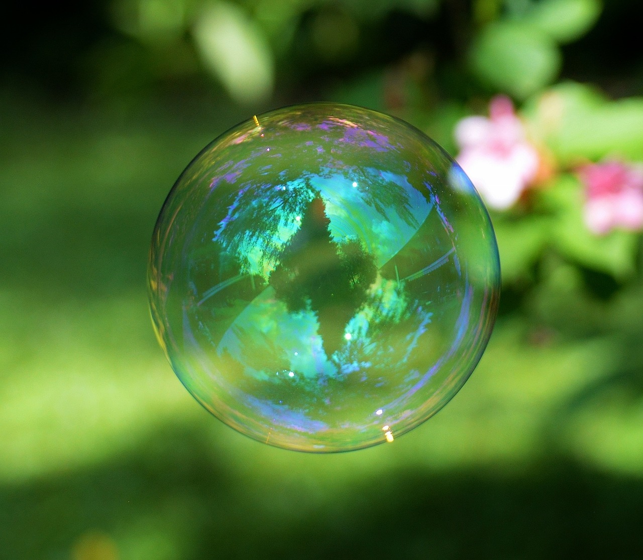 soap bubble colorful ball free photo