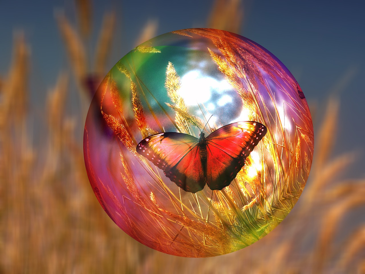 soap bubble butterfly cornfield free photo