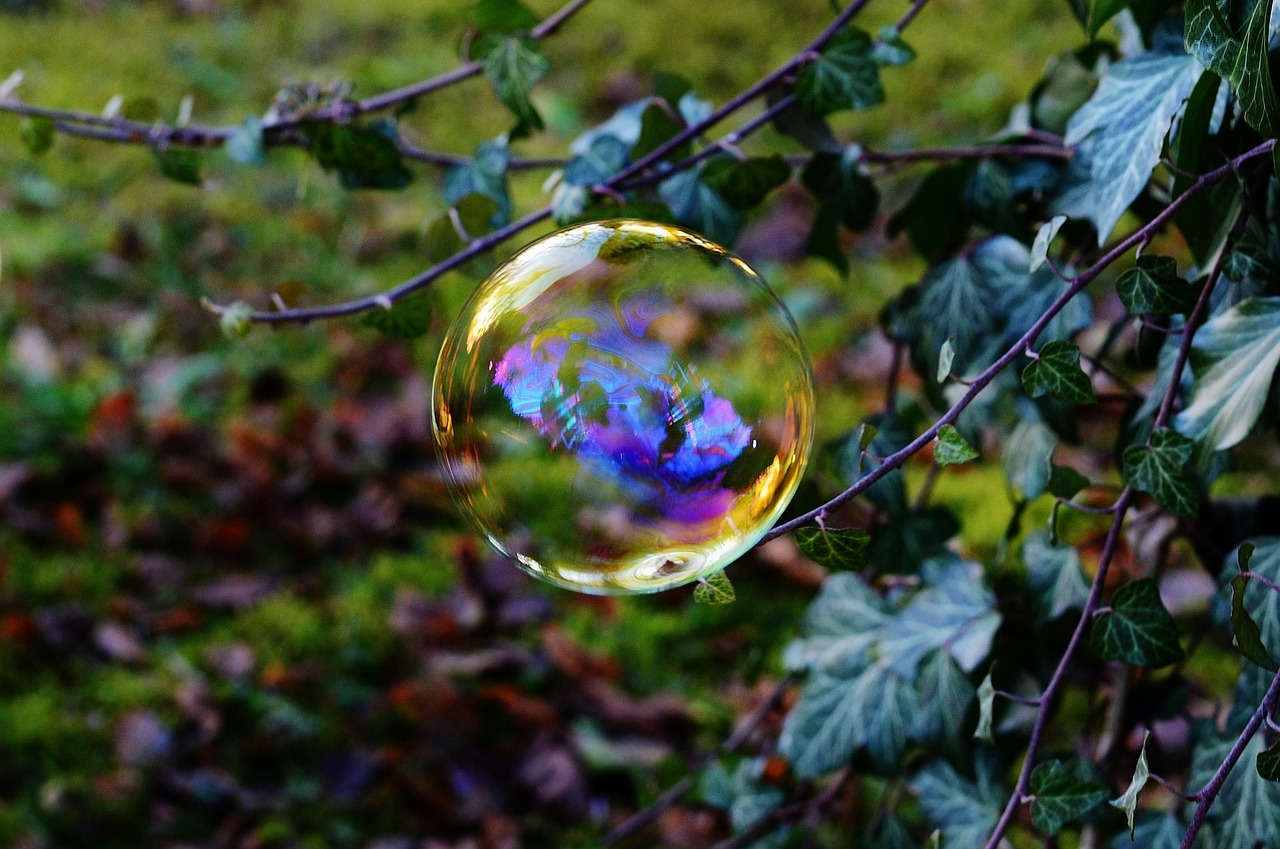 soap bubbles colorful balls free photo