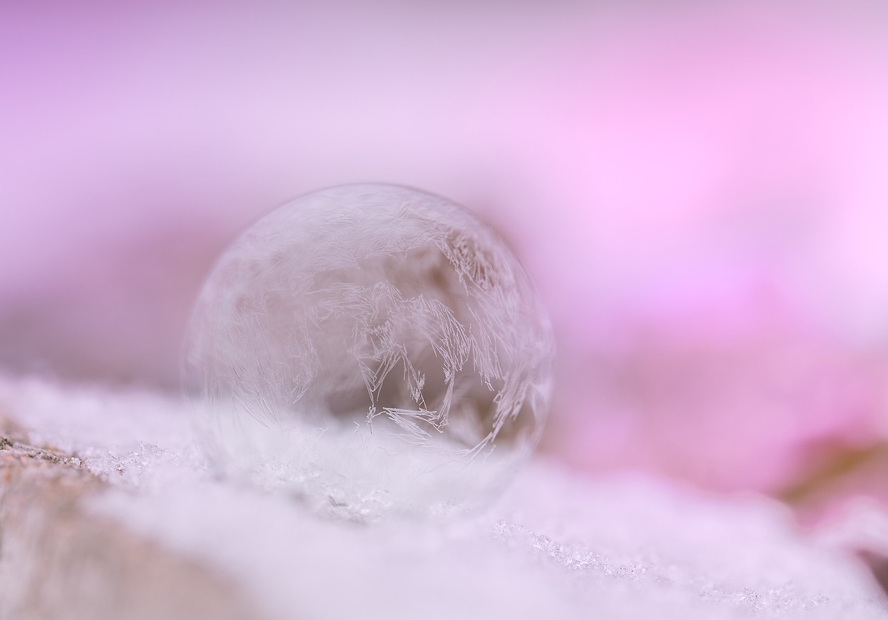 soap bubbles filigree frozen free photo