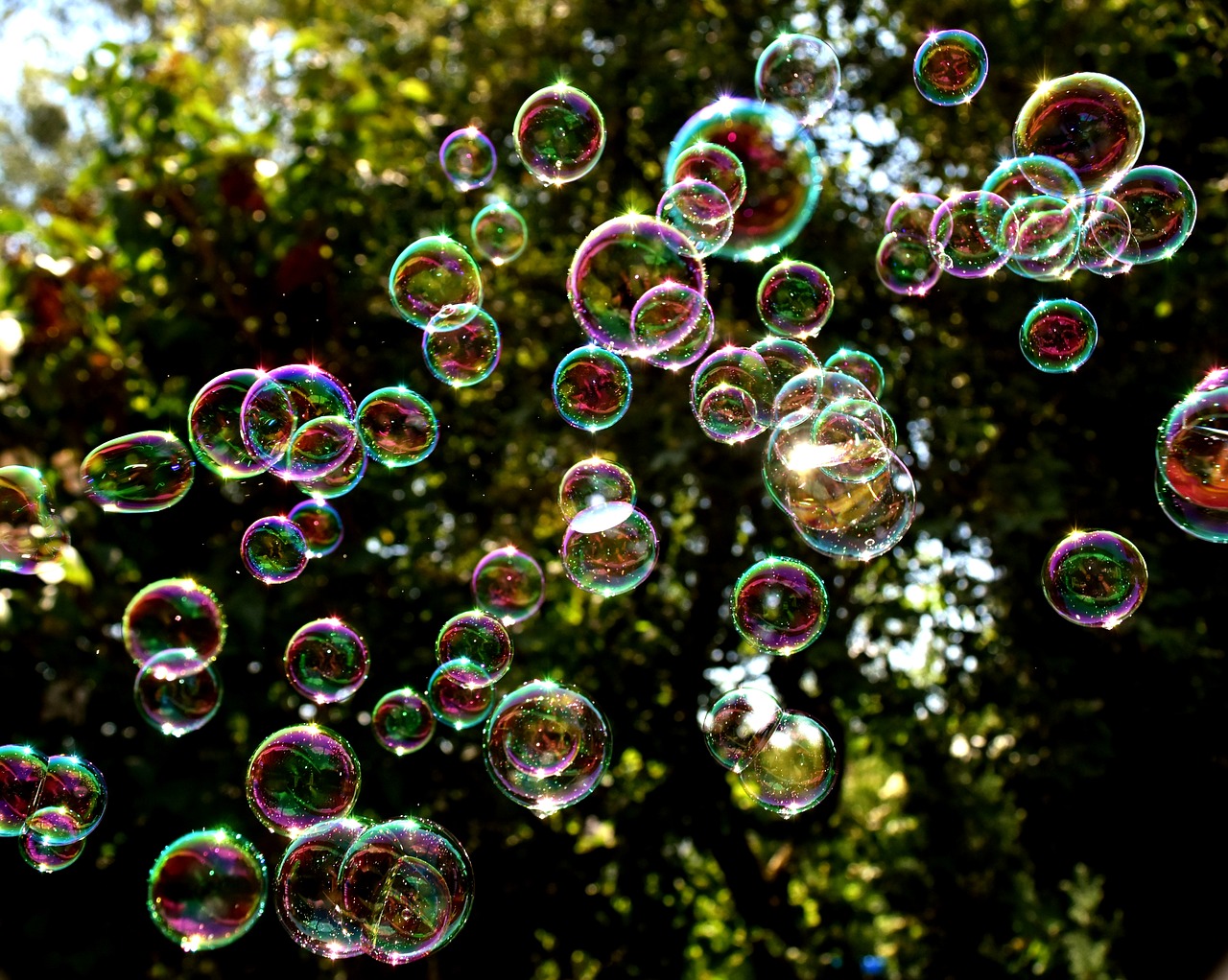 soap bubbles colorful fly free photo