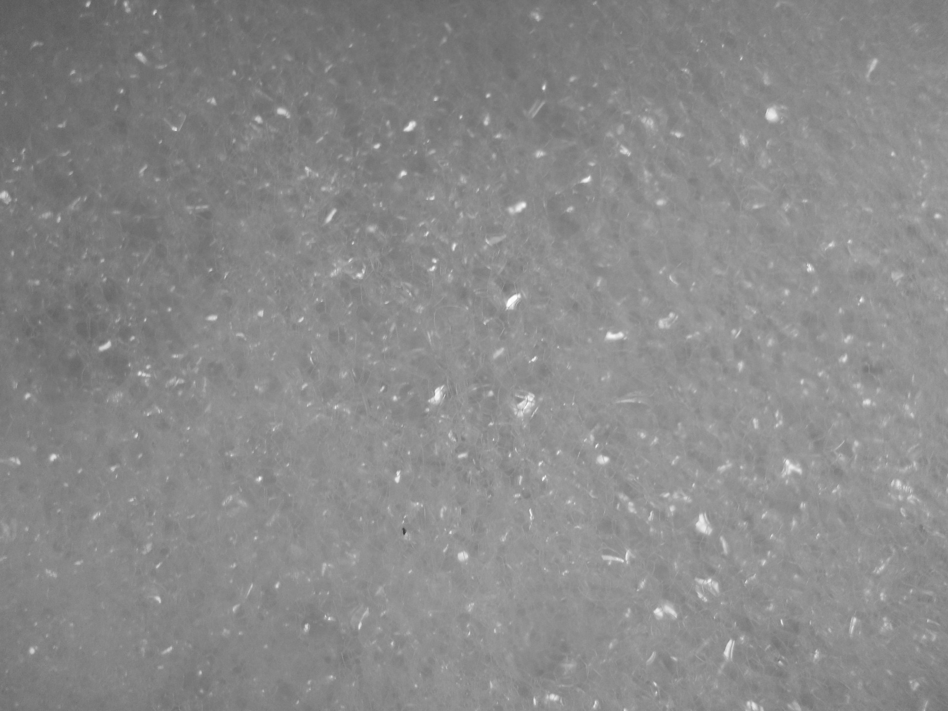 bubbles soap bubbles texture free photo