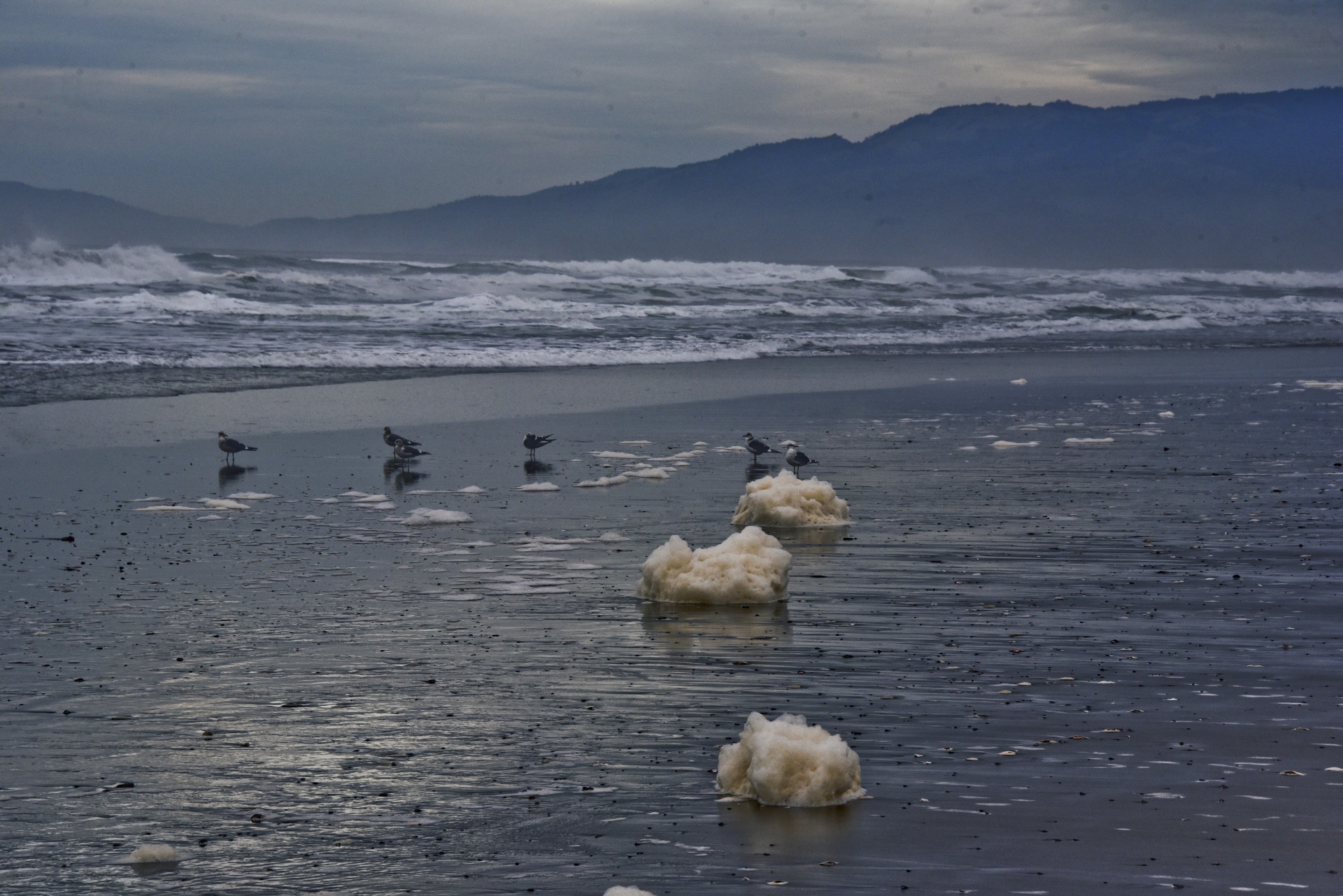 ocean beach sea foam california beach free photo
