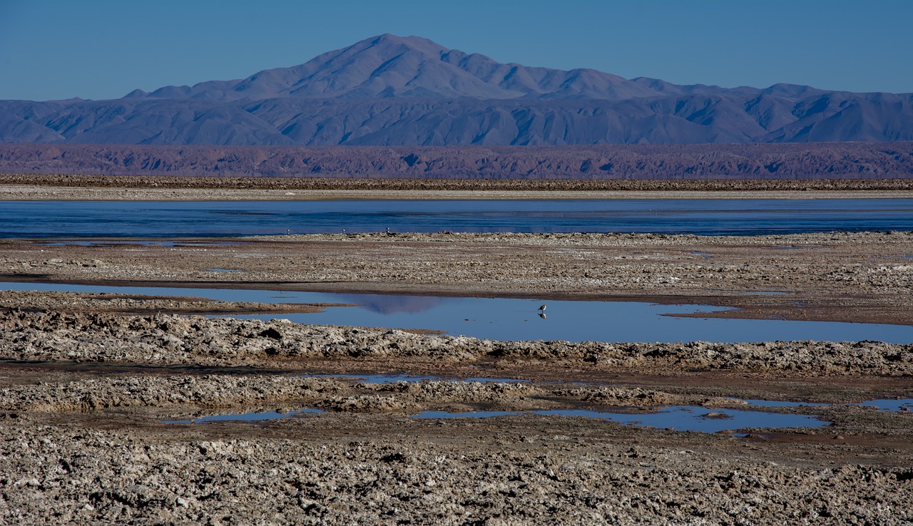 socaire  desert  chile free photo