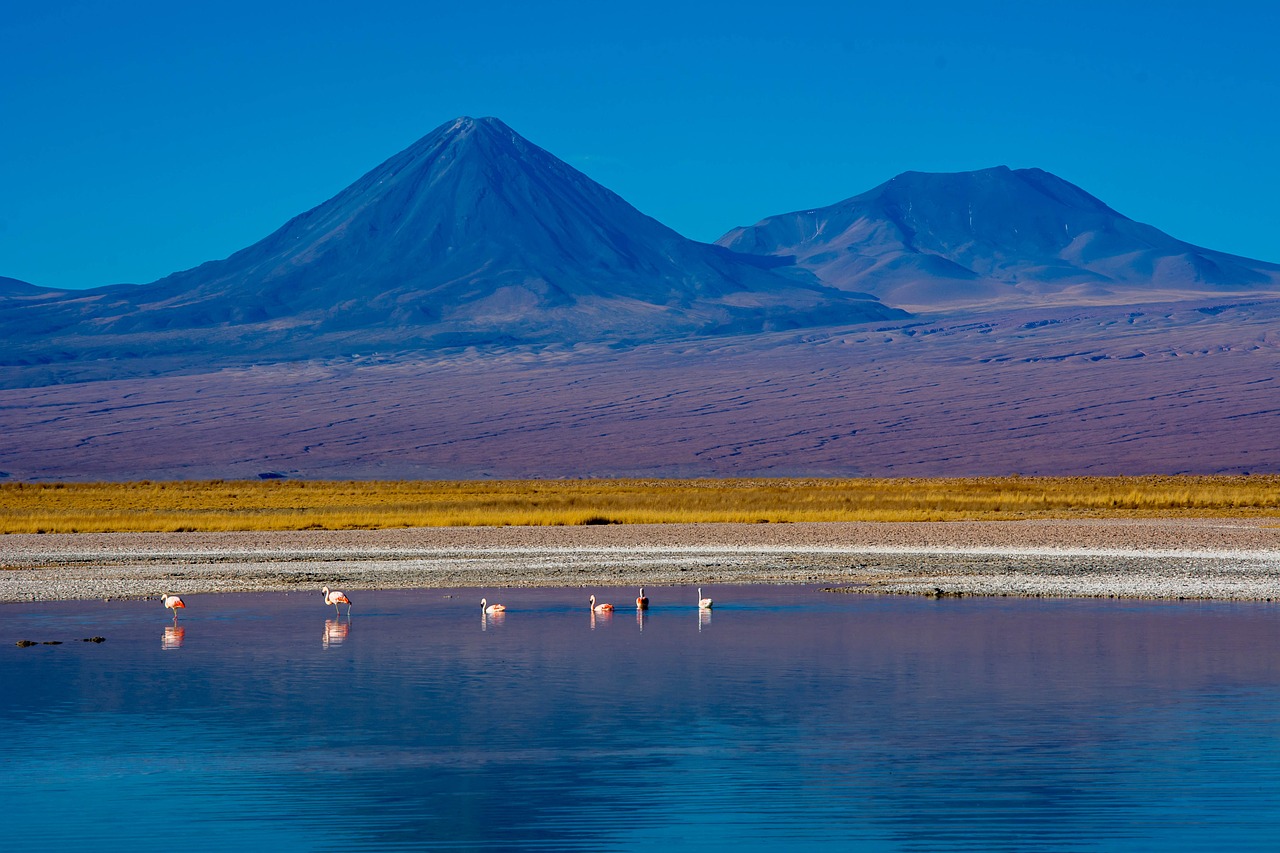 socaire  desert  chile free photo