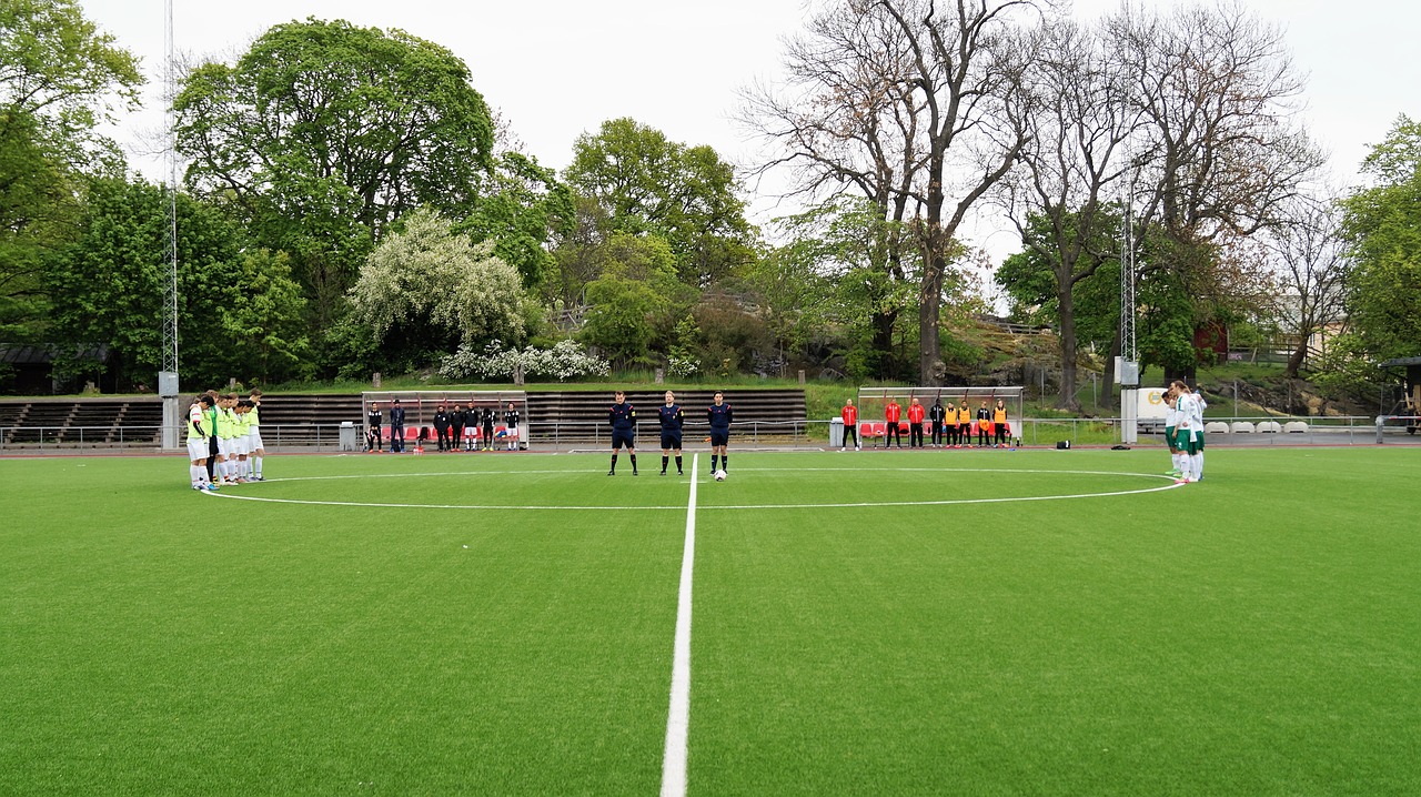 soccer pitch team free photo