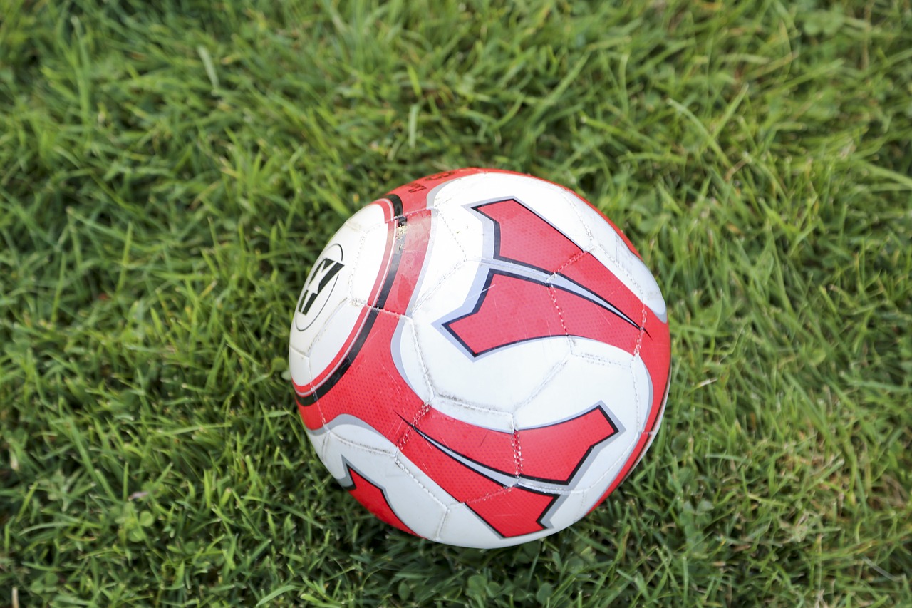 soccer ball grass free photo