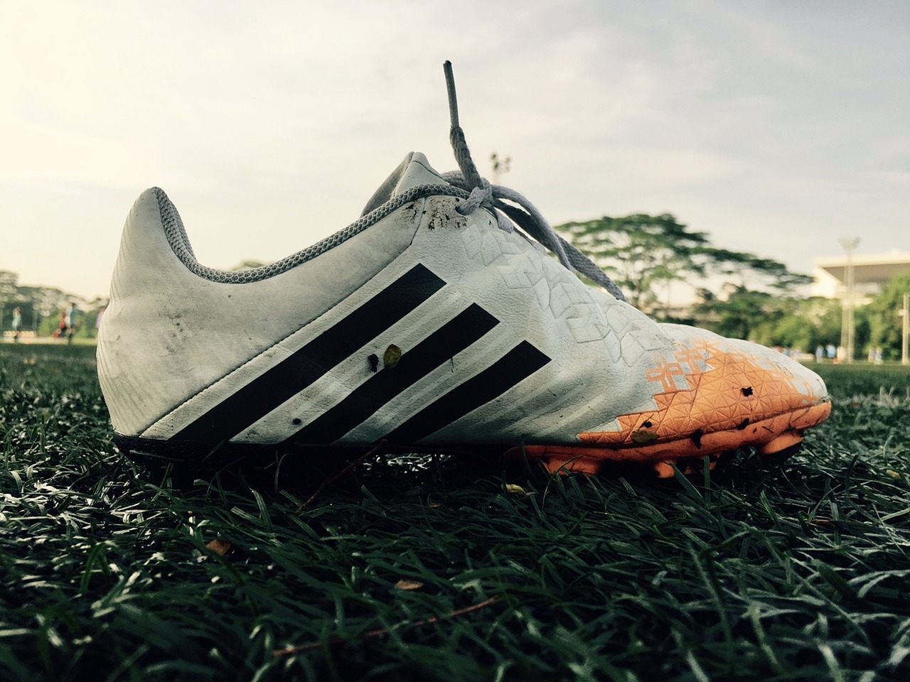 soccer shoe shoes free photo