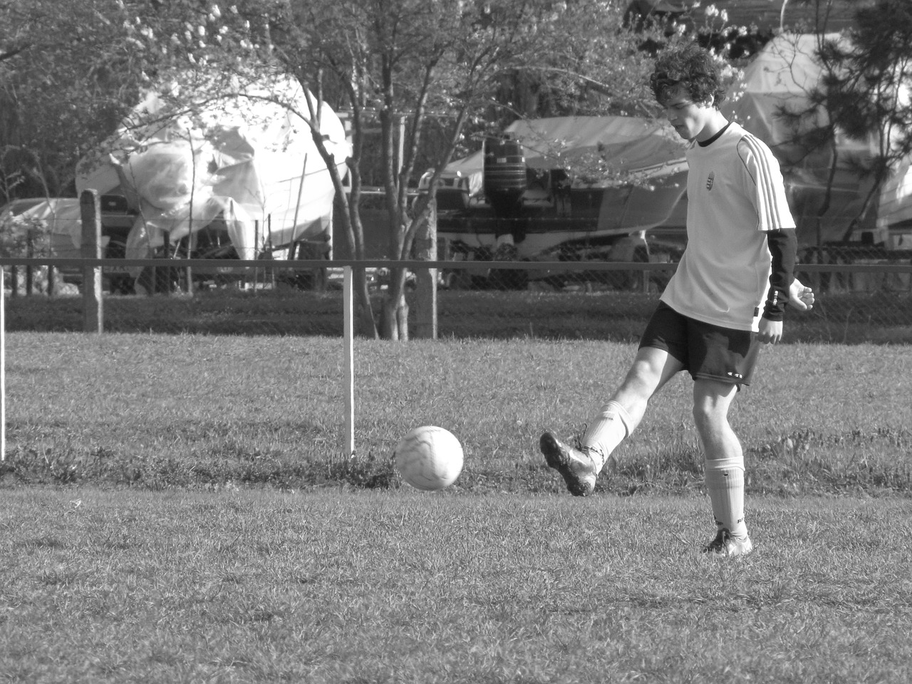 soccer sports ball free photo