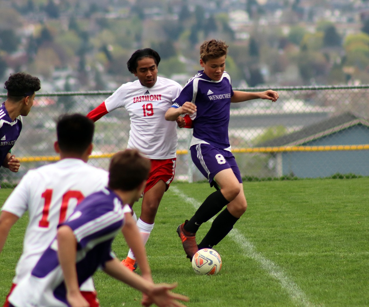 soccer  competition  ball free photo