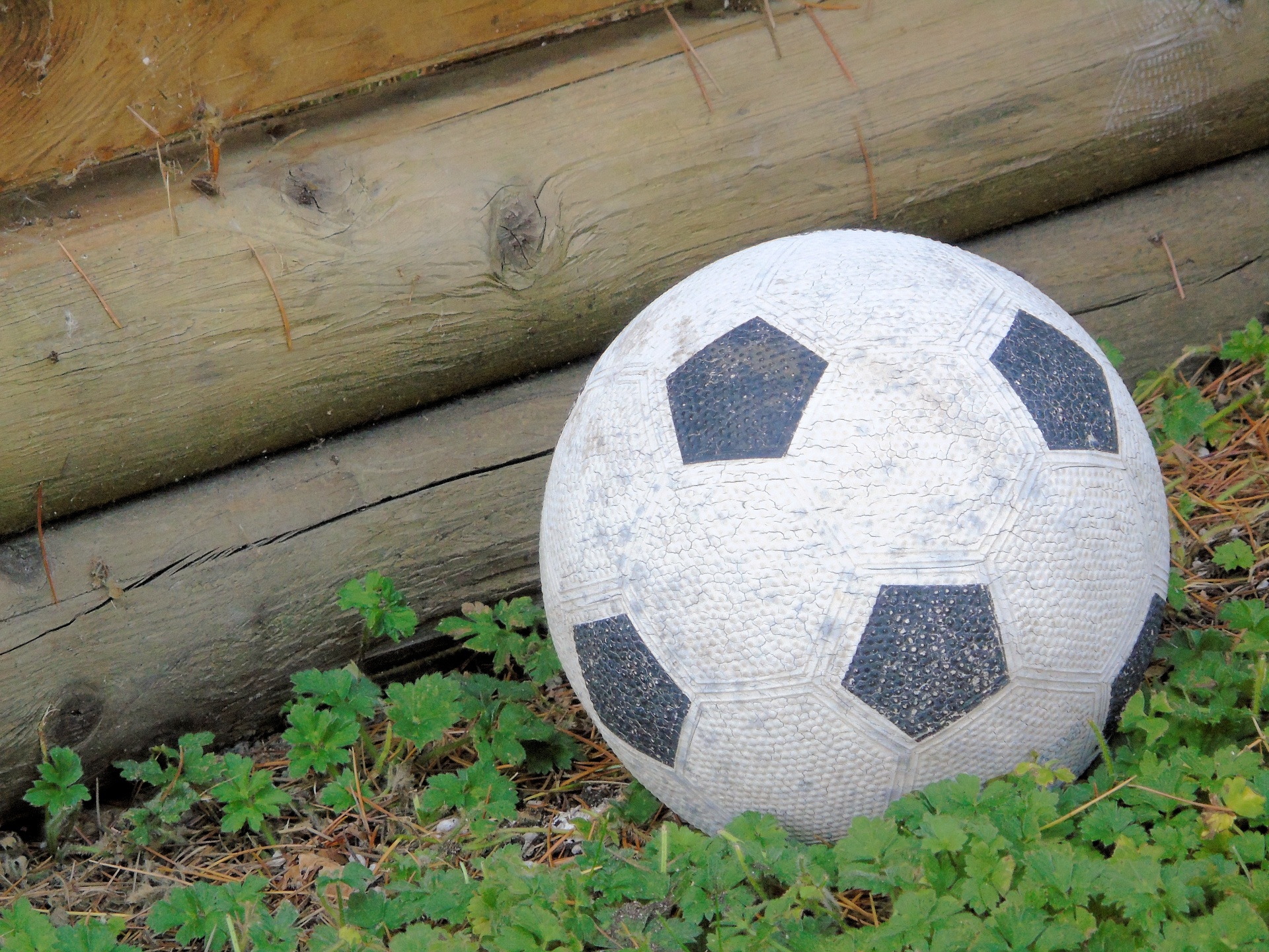 soccer ball football free photo