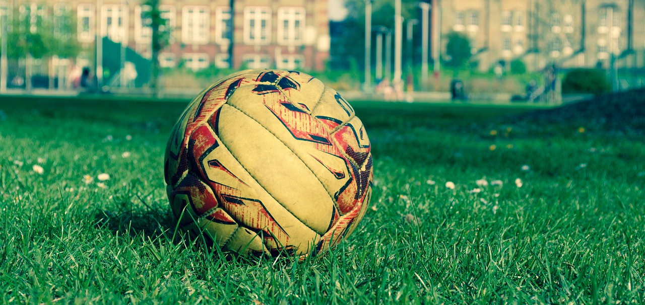 soccer ball round recreation free photo