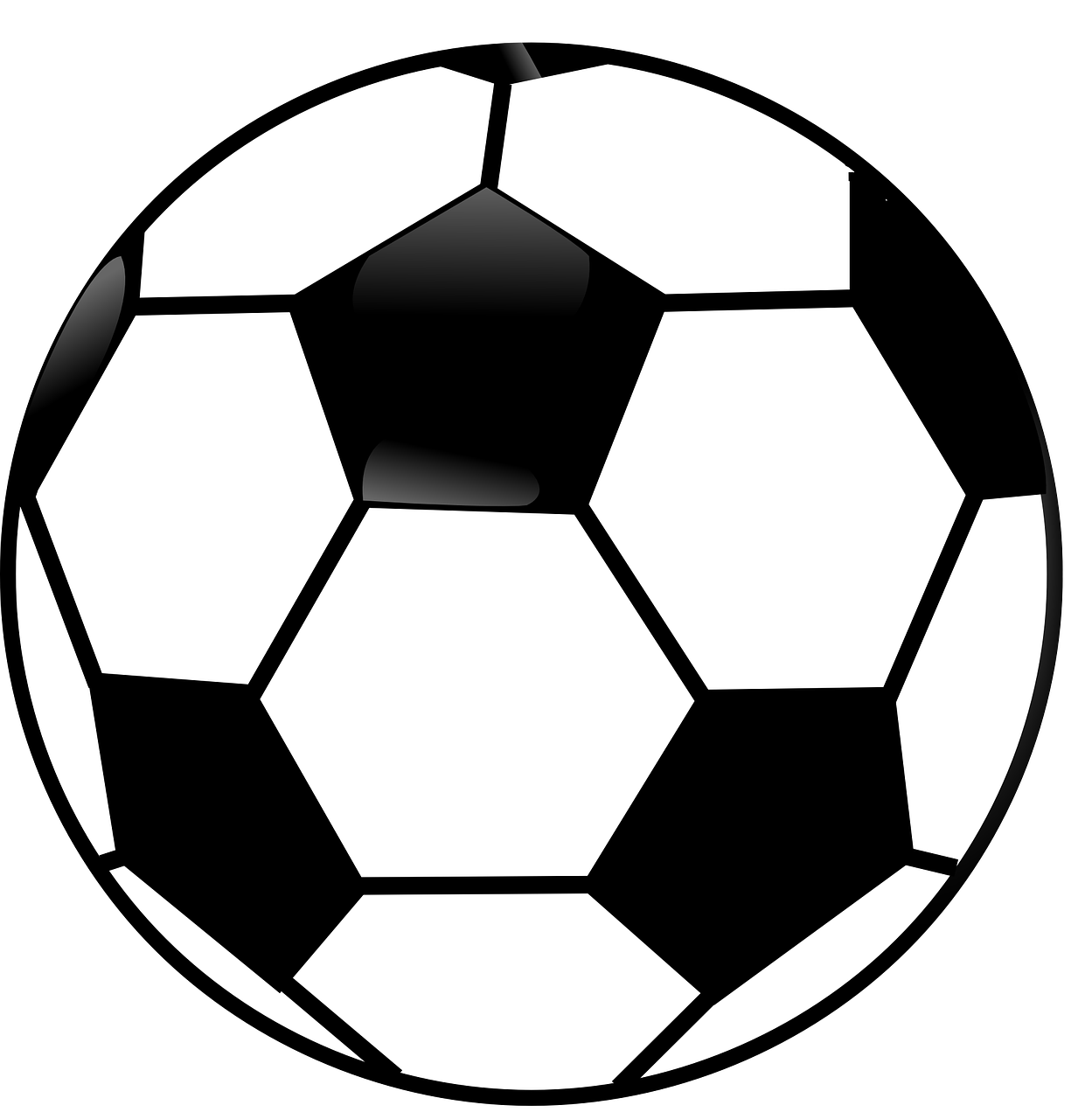 soccer ball ball black and white free photo