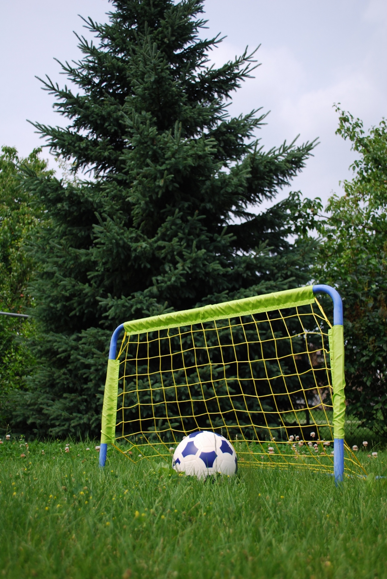 soccer ball sport free photo