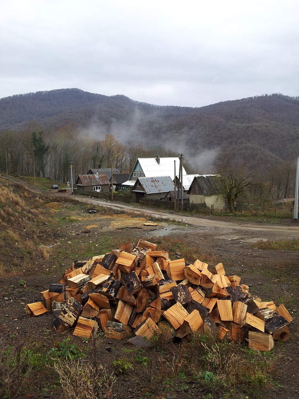 sochi firewood landscape free photo