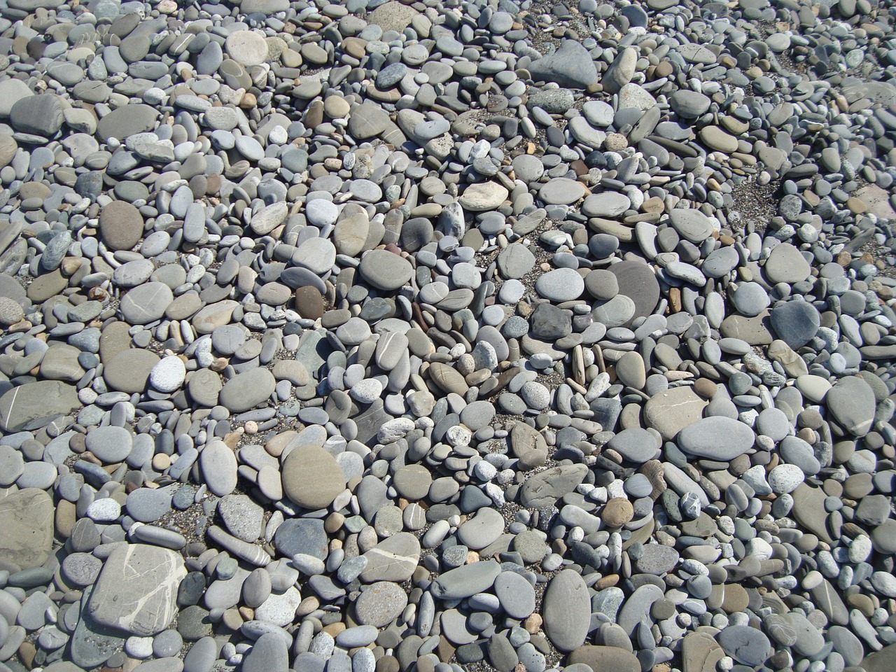 sochi beach stones free photo