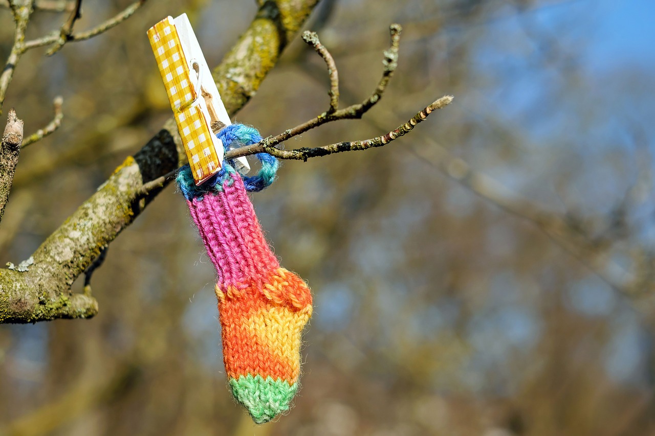 sock colorful knitted free photo