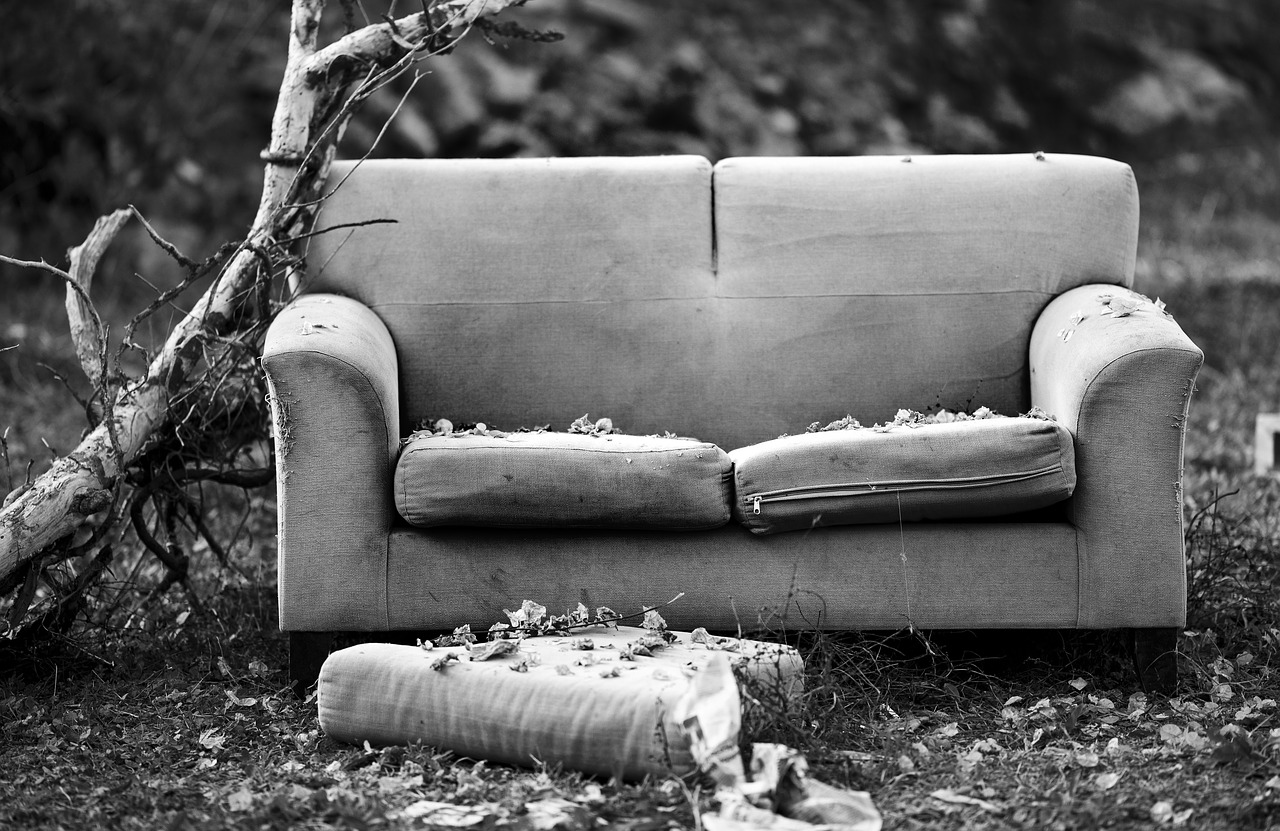 down couch only free photo