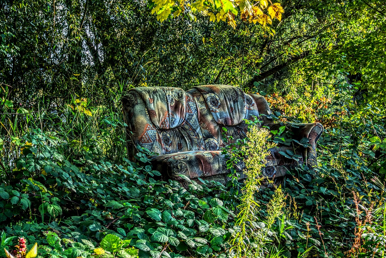 sofa couch in the green free photo