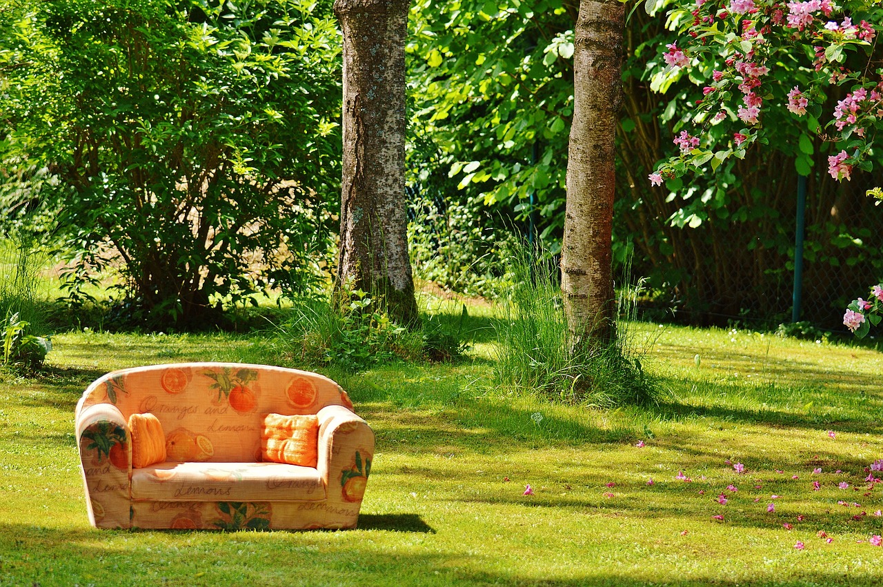 sofa couch nature free photo
