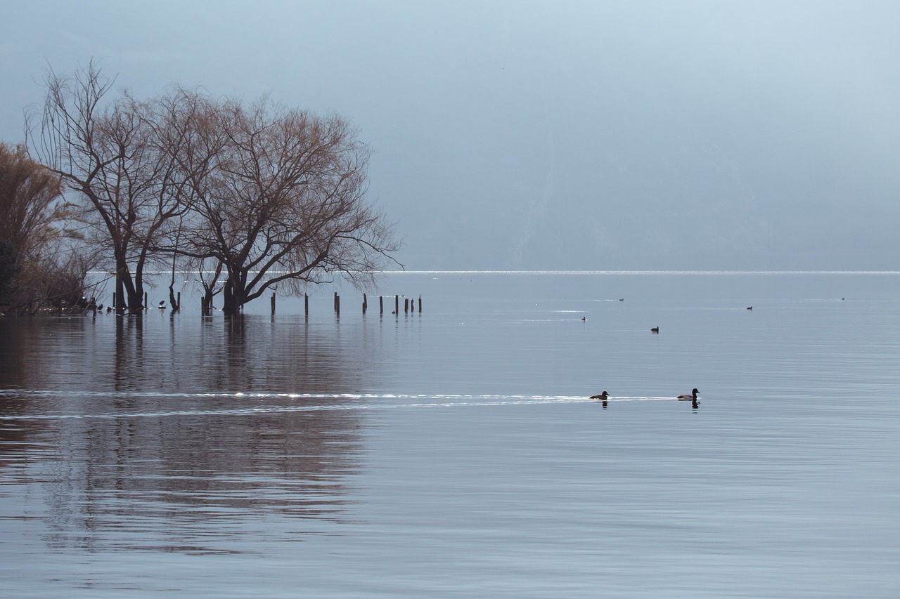 soft  lake  water free photo