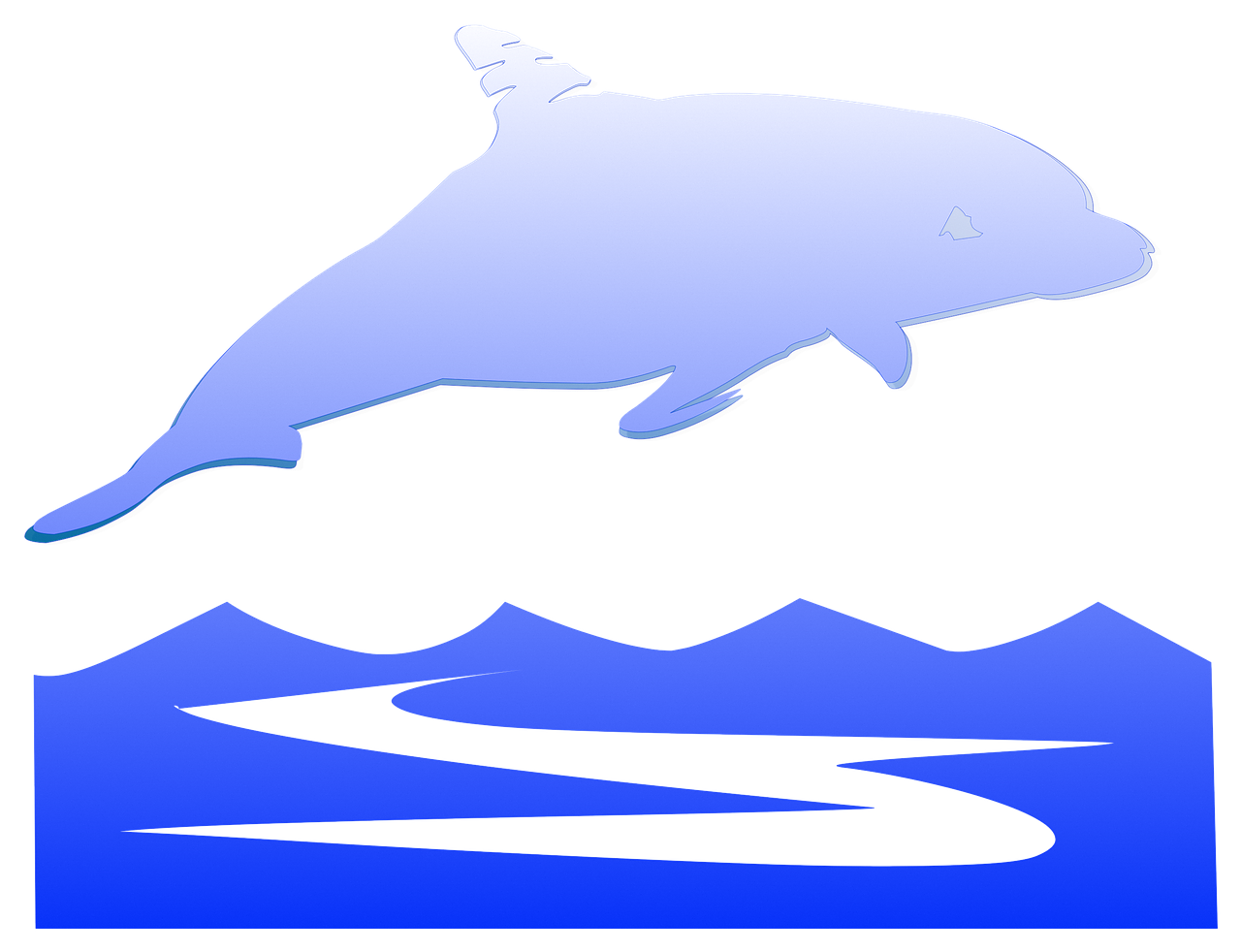 soft dolphin sea free photo