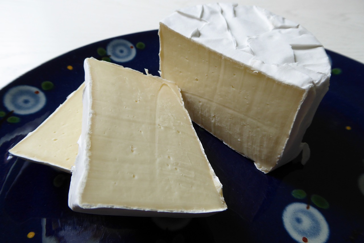 soft cheese camembert blue cheese free photo