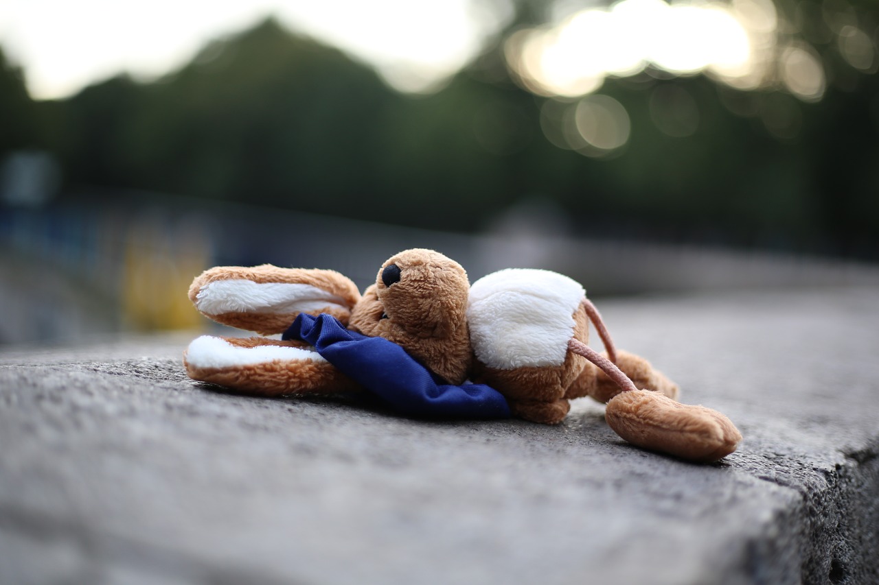 soft toy sad stuffed animal free photo